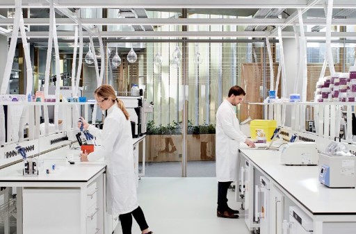 Fakultas yang Berhubungan dengan Kimia: Membangun Karier Ilmiah yang Berkilau